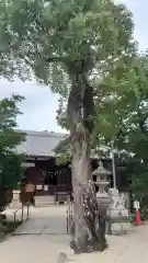 神館神社(三重県)