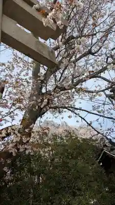 本満寺(本願満足寺)(京都府)