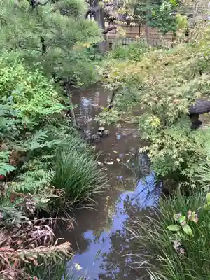 蟠龍寺(東京都)