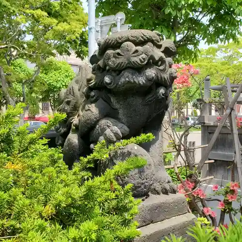 函館水天宮の狛犬