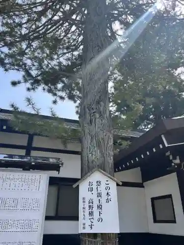 朝日大龍神社(山形県)