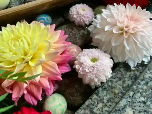 滑川神社 - 仕事と子どもの守り神の手水舎