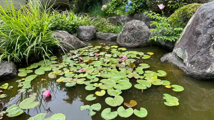 眞珠院(静岡県)