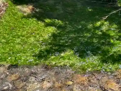 穂高神社本宮(長野県)