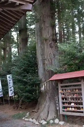 坪沼八幡神社の庭園