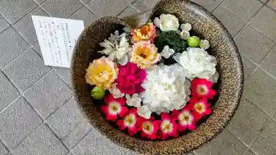 美瑛神社の手水舎