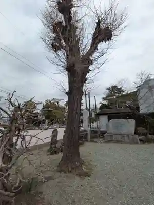 西善院(神奈川県)