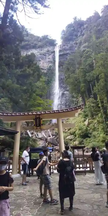 熊野那智大社の自然