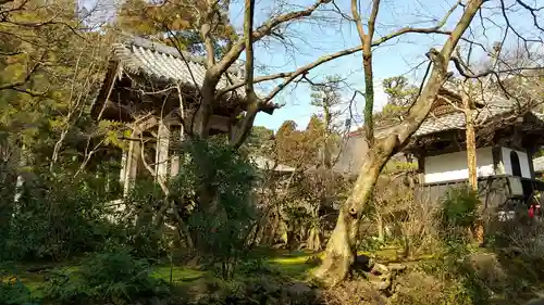 龍潭寺のその他建物