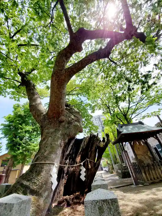 阿邪訶根神社の庭園