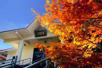 高台寺の本殿・本堂