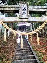 天神社(宮城県)