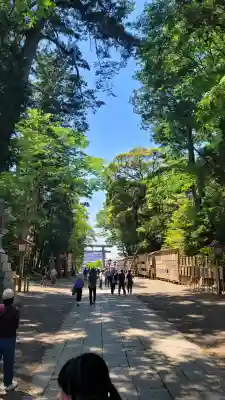 鹿島神宮(茨城県)