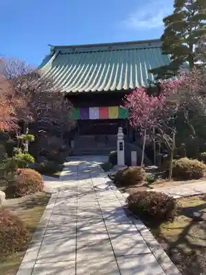 薬師院の本殿・本堂