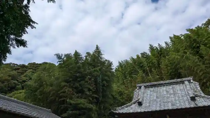 八幡神社の自然