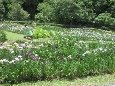 両神神社(埼玉県)