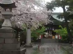 桜神宮の自然