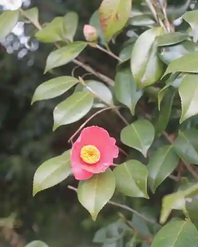 酒列磯前神社(茨城県)