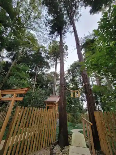 岩槻久伊豆神社の自然