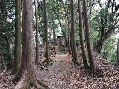 訶具都智神社の自然