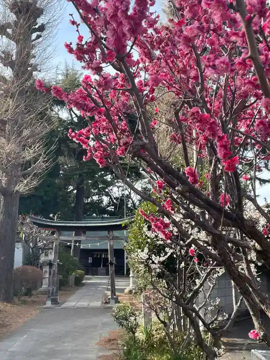 田端神社(東京都)