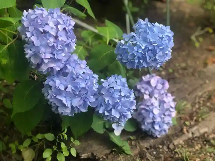 木舟山 順教寺(広島県)