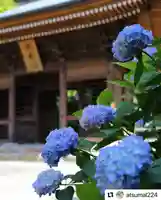 普門寺(切り絵御朱印発祥の寺)のその他建物