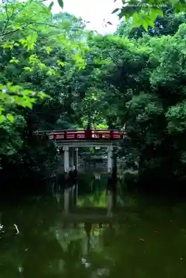 武蔵一宮氷川神社(埼玉県)