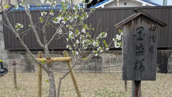 墨染寺(桜寺)(京都府)