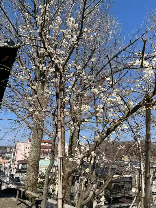 温泉神社〜いわき湯本温泉〜の自然