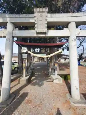 白山神社 (堀込町)(栃木県)