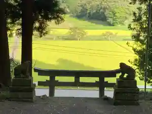 大宮温泉神社の鳥居(2021年08月31日(火) 23時32分58秒投稿)