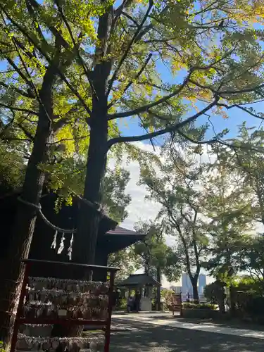 多摩川浅間神社(東京都)