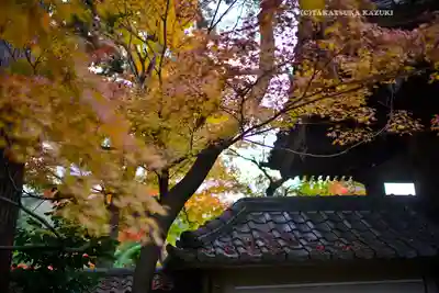 円覚寺(神奈川県)