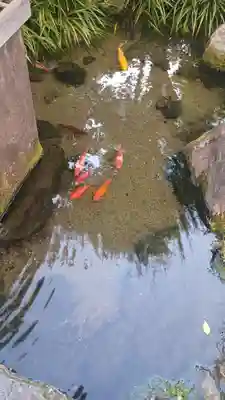 厳嶋神社(東京都)