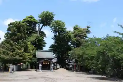 今宮神社 (安曇川町西万木)(滋賀県)