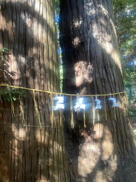 日吉神社の{uncategorized: "未分類", other: "その他", undefined: "問題あり", building: "その他建物", grave: "お墓", sacred_gate: "鳥居", guardian: "狛犬", statue: "像", buddha: "仏像", history: "歴史", nature: "自然", garden: "庭園", animal: "動物", pagoda: "塔", temizu: "手水舎", mountain_gate: "山門・神門", sanctuary: "本殿・本堂", subordinate: "末社・摂社", art: "芸術", scenery: "景色", jizo: "地蔵", ema: "絵馬", goshuin: "御朱印", omikuji: "おみくじ", items: "授与品その他", amulet: "お守り", goshuincho: "御朱印帳", eats: "食事", festival: "お祭り", votive_dance: "神楽", shichigosan: "七五三参", wedding: "結婚式", experience: "体験その他", initially: "初詣", around: "周辺", anti_infection: "感染症対策"}
