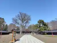 北海道護國神社の本殿・本堂
