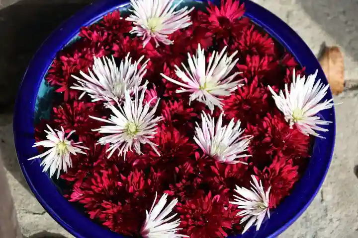 阿邪訶根神社の授与品その他