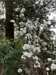 簳幹八幡宮(東京都)