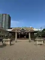 今宮戎神社の本殿・本堂