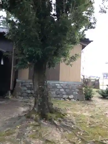 兔橋神社の自然