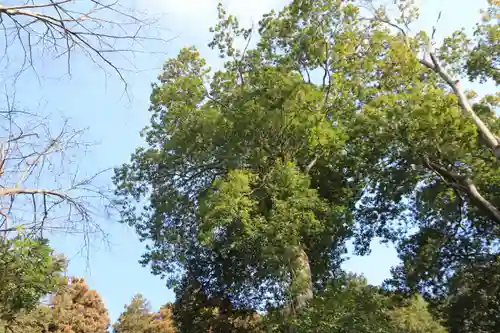 見渡神社の自然