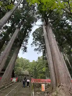 鳳来山東照宮(愛知県)