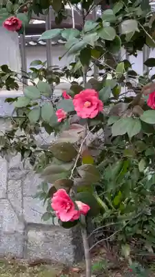 興聖寺(京都府)