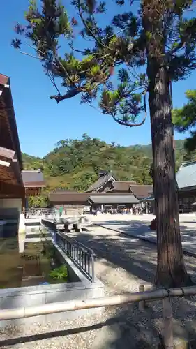 出雲大社(島根県)