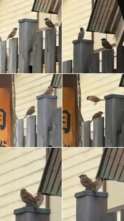 七重浜海津見神社(北海道)