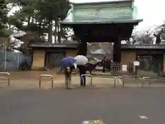 豪徳寺の山門