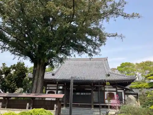宝光寺(埼玉県)