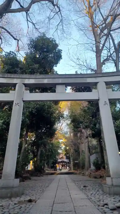 代々木八幡宮の鳥居